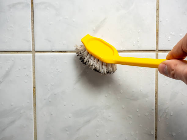 Professional Mold Removal in Pierre Part, LA