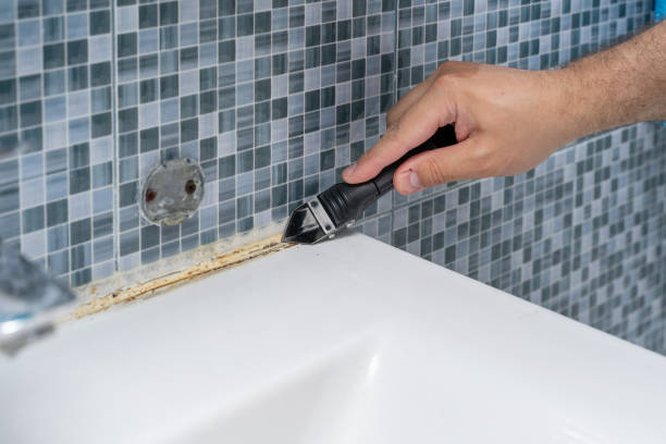 Best Mold Damage Repair  in Pierre Part, LA